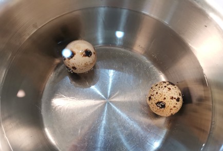 Фото шага рецепта Свекольночесночный салат 175512 шаг 2  