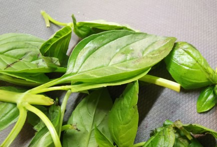 Фото шага рецепта Свежий салат 189885 шаг 5  