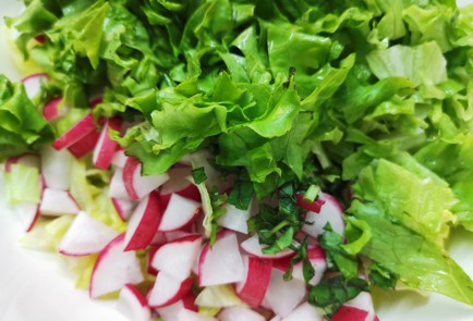 Фото шага рецепта Свежий салат 189885 шаг 6  