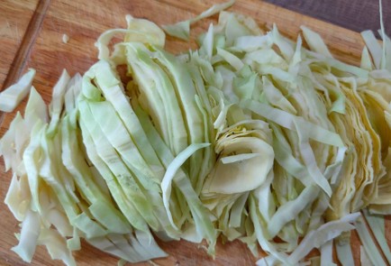 Фото шага рецепта Свинина с капустой морковью и помидорами в духовке 186409 шаг 3  