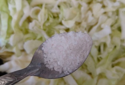 Фото шага рецепта Свинина с капустой морковью и помидорами в духовке 186409 шаг 4  