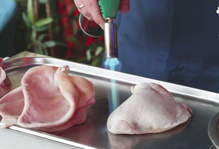 Фото шага рецепта Свиные уши покитайски 175151 шаг 1  