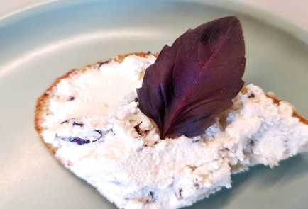 Фото шага рецепта Сыр филадельфия с красным базиликом 174153 шаг 12  