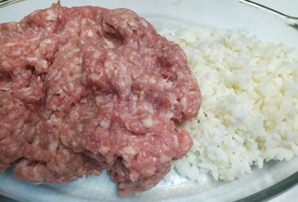 Фото шага рецепта Тефтели из индейки 190646 шаг 2  