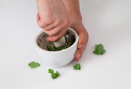 Фото шага рецепта Ткемали из красной смородины 80062 шаг 1  