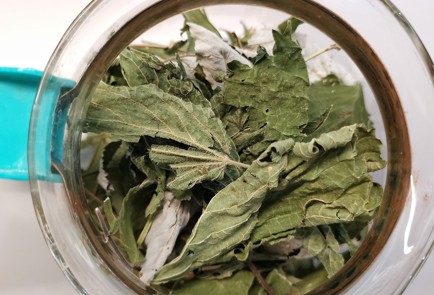 Фото шага рецепта Травяной отвар для желудка 152931 шаг 5  