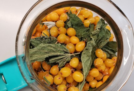 Фото шага рецепта Травяной отвар для желудка 152931 шаг 6  