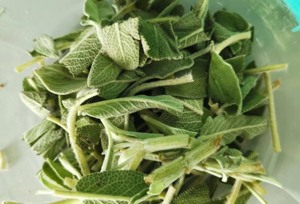 Фото шага рецепта Травяной витаминный отвар 152478 шаг 1  