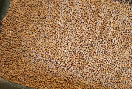 Фото шага рецепта Тушеная индейка с гречкой 189890 шаг 4  