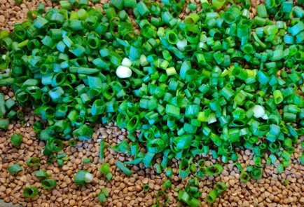 Фото шага рецепта Тушеная индейка с гречкой 189890 шаг 5  