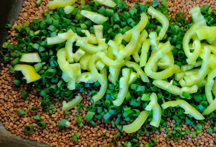 Фото шага рецепта Тушеная индейка с гречкой 189890 шаг 6  