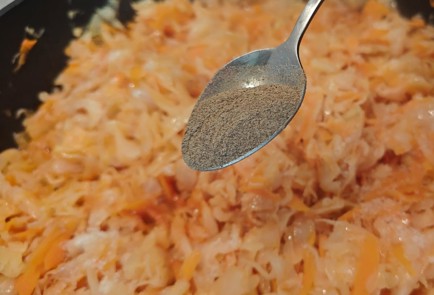 Фото шага рецепта Тушеная капуста с паприкой 190169 шаг 9  