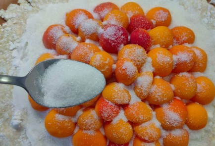 Фото шага рецепта Творожная галета с абрикосами и сыром 189703 шаг 14  