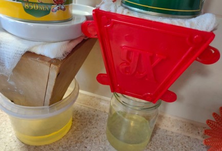 Фото шага рецепта Творожная пасха 191668 шаг 20  