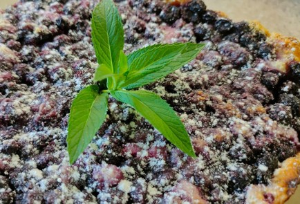 Фото шага рецепта Творожная запеканка со смородиной 189424 шаг 15  