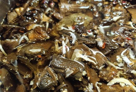 Фото шага рецепта Грибная икра 190849 шаг 7  