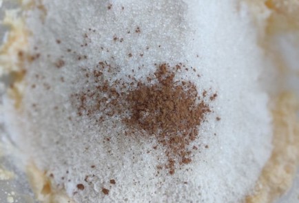 Фото шага рецепта Творожные оладьи с апельсиновой цедрой 173453 шаг 5  