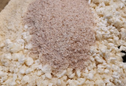 Фото шага рецепта Творожный кетохлеб 174733 шаг 4  