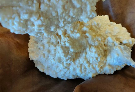 Фото шага рецепта Творожный пирог на сгущенке со сливами 190308 шаг 10  