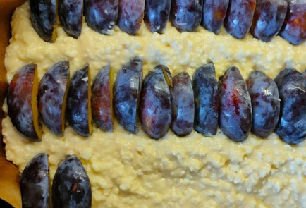 Фото шага рецепта Творожный пирог на сгущенке со сливами 190308 шаг 13  