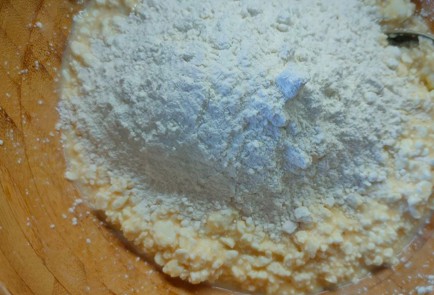 Фото шага рецепта Творожный пирог на сгущенке со сливами 190308 шаг 8  