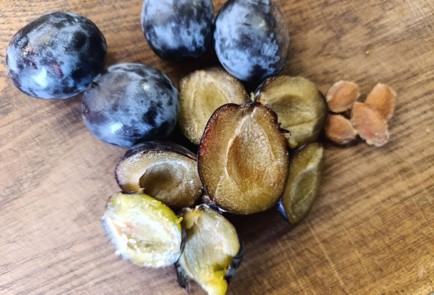 Фото шага рецепта Творожный пирог со сливами 190642 шаг 13  