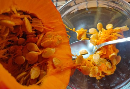 Фото шага рецепта Тыква запеченная с яблоками и творогом 174793 шаг 3  