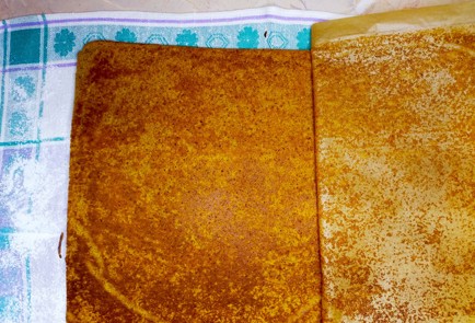 Фото шага рецепта Тыквенный рулет 187657 шаг 9  