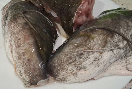 Фото шага рецепта Уха из сома 190577 шаг 3  