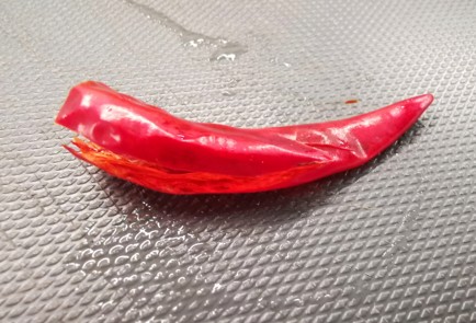 Фото шага рецепта Утиная грудка пошанхайски 140729 шаг 8  