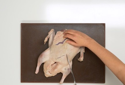 Фото шага рецепта Утка в духовке 140160 шаг 1  