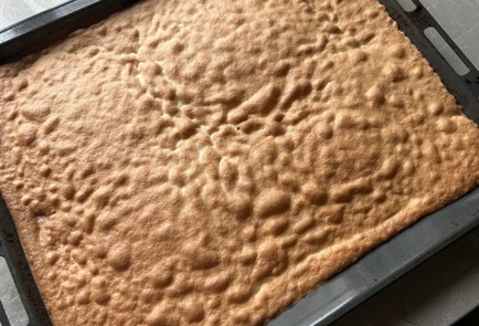 Фото шага рецепта Ванильноклубничный торт 189379 шаг 9  