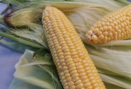 Фото шага рецепта Вареная кукуруза 190484 шаг 1  