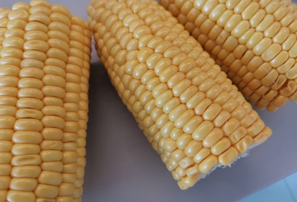 Фото шага рецепта Вареная кукуруза 190484 шаг 3  