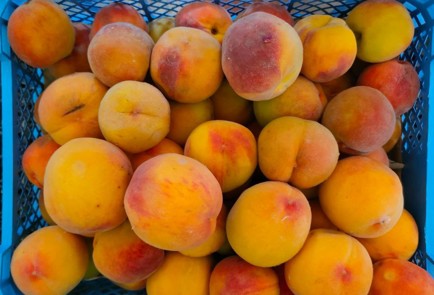 Фото шага рецепта Варенье из персиков на зиму 190054 шаг 1