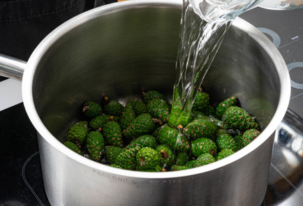 Фото шага рецепта Варенье из шишек 189518 шаг 2  