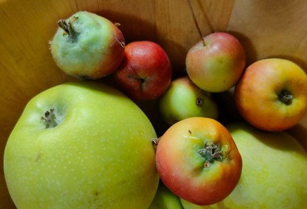 Фото шага рецепта Варенье из яблок на зиму 190195 шаг 1  