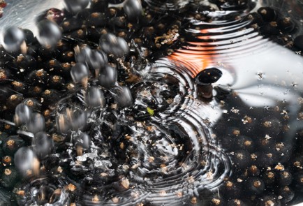 Фото шага рецепта Вареньепятиминутка из черной смородины 151253 шаг 1  