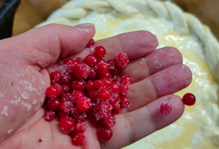 Фото шага рецепта Ватрушка с домашним творогом 175484 шаг 12  