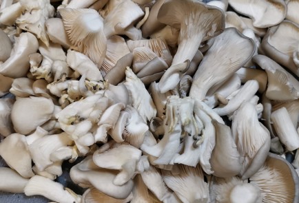 Фото шага рецепта Вешенки жаренные с красным луком 152323 шаг 2