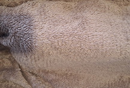 Фото шага рецепта Виноградный компот Мохито на зиму без стерилизации 187099 шаг 16