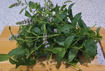 Фото шага рецепта Виноградный компот Мохито на зиму без стерилизации 187099 шаг 8