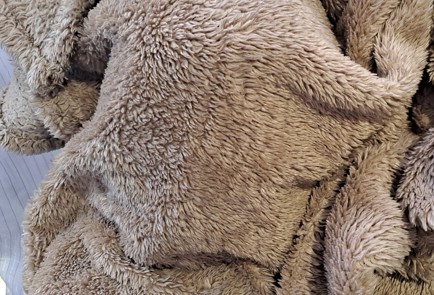 Фото шага рецепта Виноградный компот на зиму с яблоком и корицей без стерилизации 187101 шаг 14  