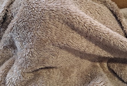 Фото шага рецепта Виноградный компот на зиму со сливами и гвоздикой 187100 шаг 12