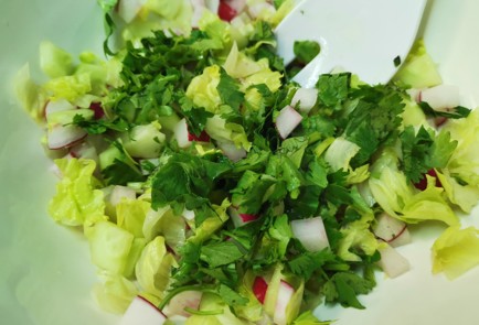 Фото шага рецепта Салат на летний стол 189716 шаг 5  