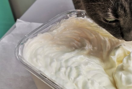 Фото шага рецепта Воздушные кетобулочки 152743 шаг 5  