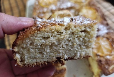 Фото шага рецепта Яблочная запеканка 190833 шаг 16  