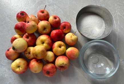 Фото шага рецепта Яблочное повидло на зиму 190539 шаг 1  