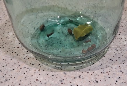 Фото шага рецепта Яблоки моченые 190640 шаг 4  