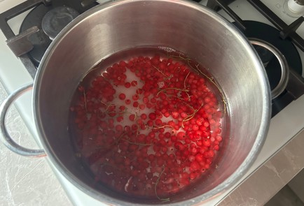 Фото шага рецепта Ягодный кисель 190547 шаг 5  